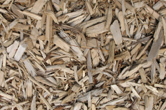 biomass boilers Pentrefelin