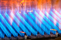Pentrefelin gas fired boilers